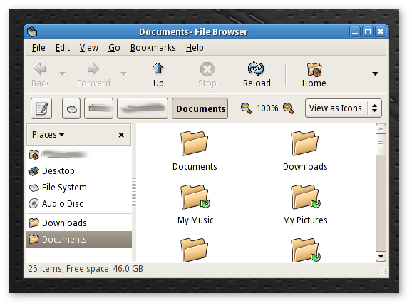 File manager with browser pane